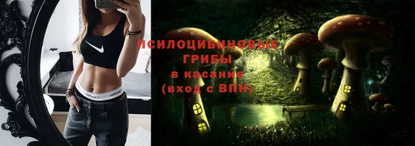 молекула духа Нязепетровск