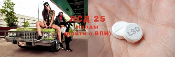 эйфоретик Няндома