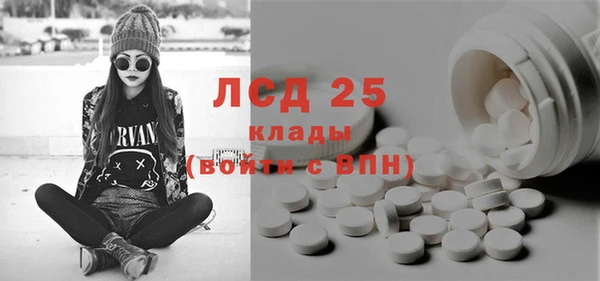 эйфоретик Няндома