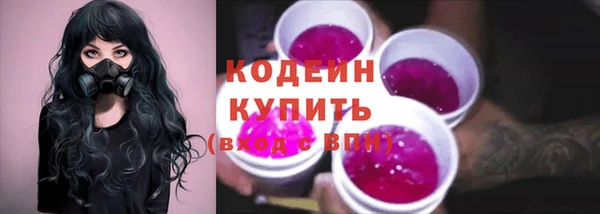 эйфоретик Няндома