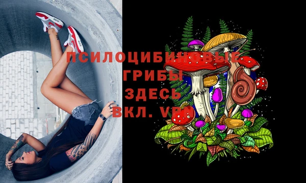 эйфоретик Няндома