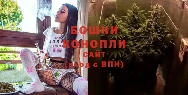 эйфоретик Няндома