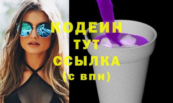 эйфоретик Няндома